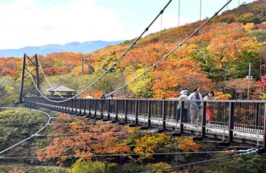 ツツジ吊り橋の紅葉