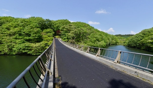 朝のちふり橋への散歩